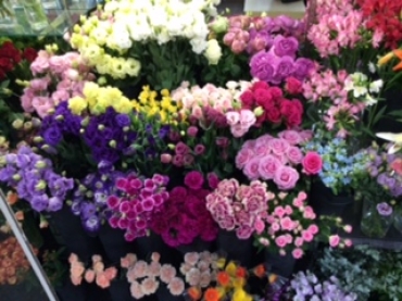 「フレッシュはな正」　（新潟県三条市）の花屋店舗写真4