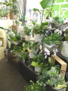 「フレッシュはな正」　（新潟県三条市）の花屋店舗写真2